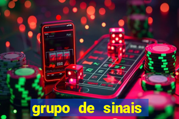grupo de sinais fortune rabbit